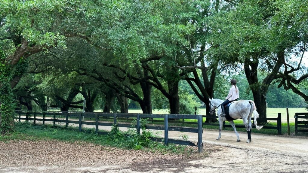 Aiken is unapologetically a horse town and its many dirt roads are unapologetically unpaved with those horses in mind.